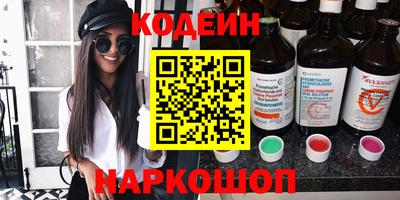 ешки Кингисепп