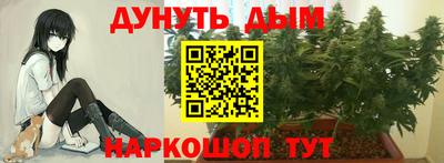 spice Кимры