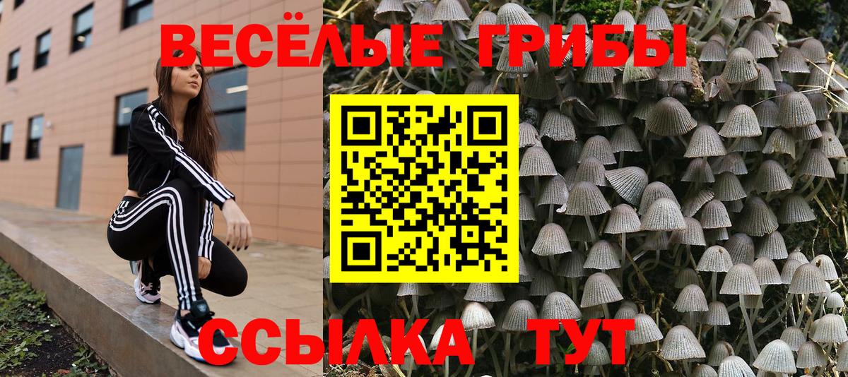 Галлюциногенные грибы мухоморы  Галлюциногенные грибы мицелий  Камышлов  Вход с VPN 