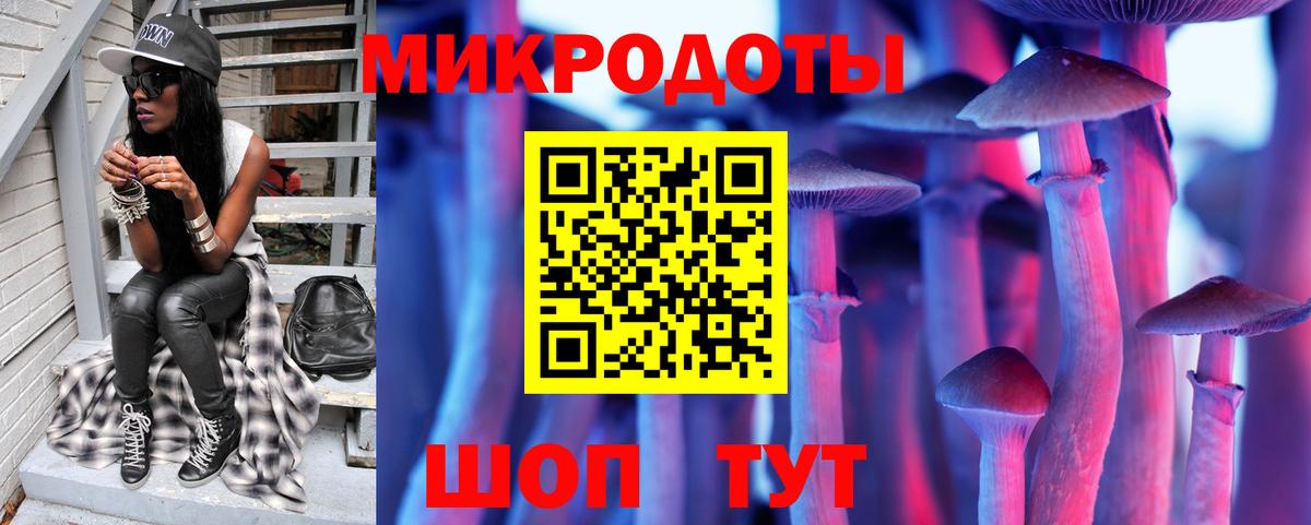 Псилоцибиновые грибы GOLDEN TEACHER Камышлов