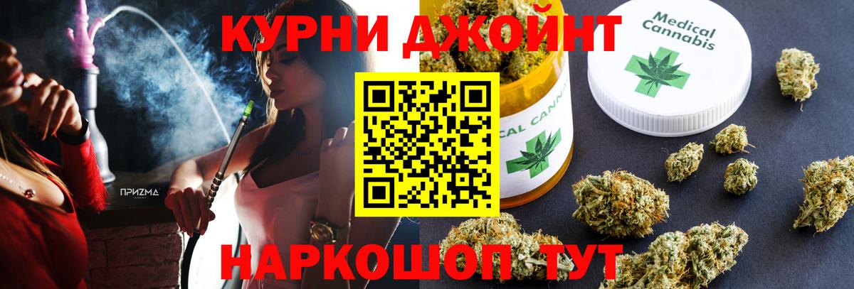 Камышлов  Конопля White Widow  Вход с VPN  Канабис Bruce Banner  Конопля семена 